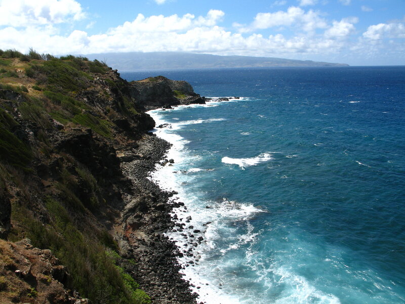 cliffside coast with ocean view