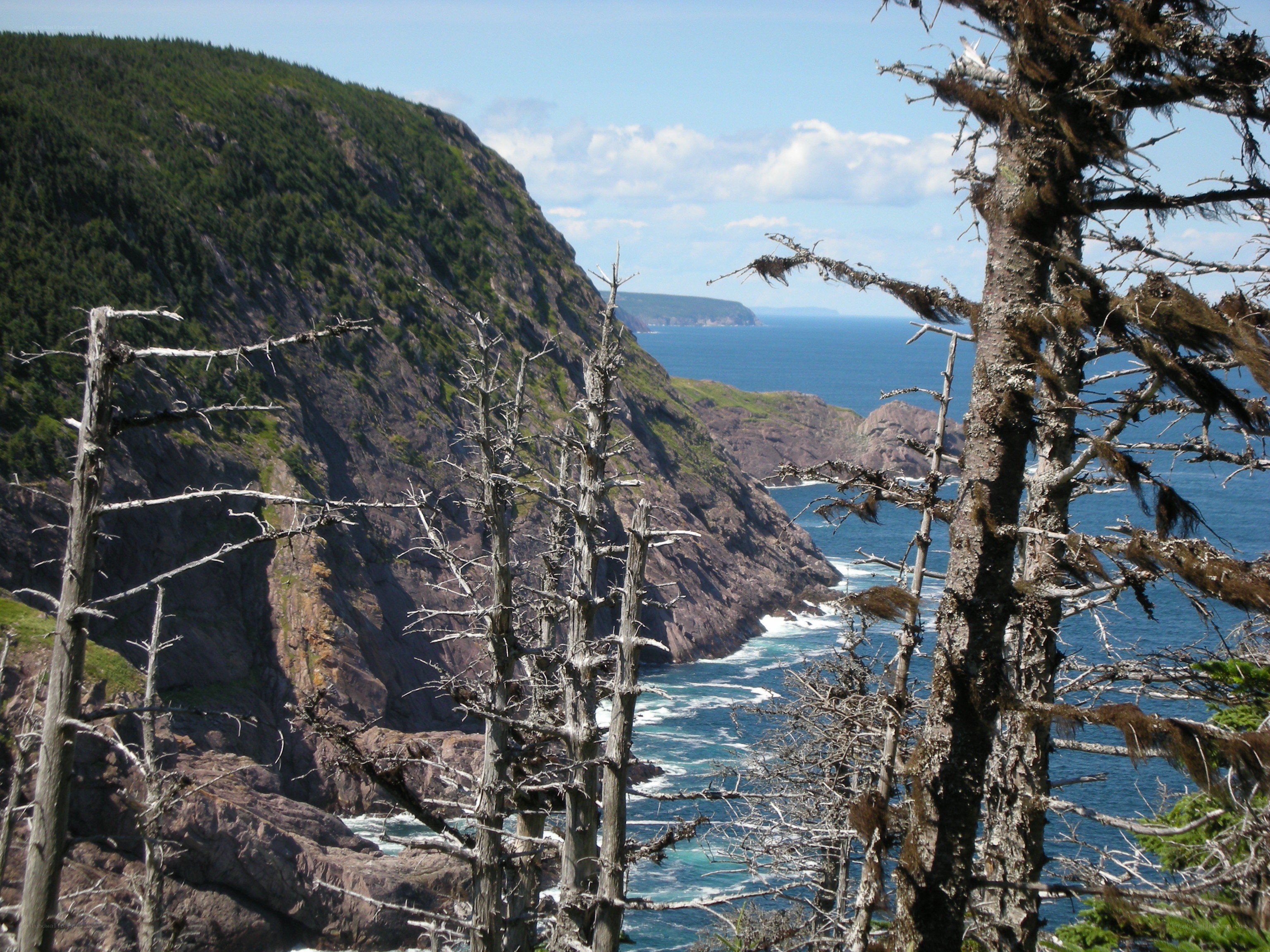 cliffside coastal view