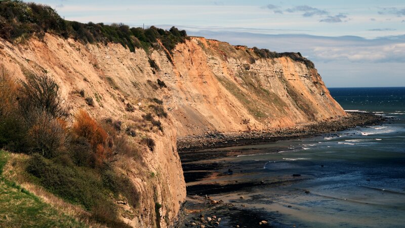Cliffside Coastline — Brown, Dramatic, Afternoon