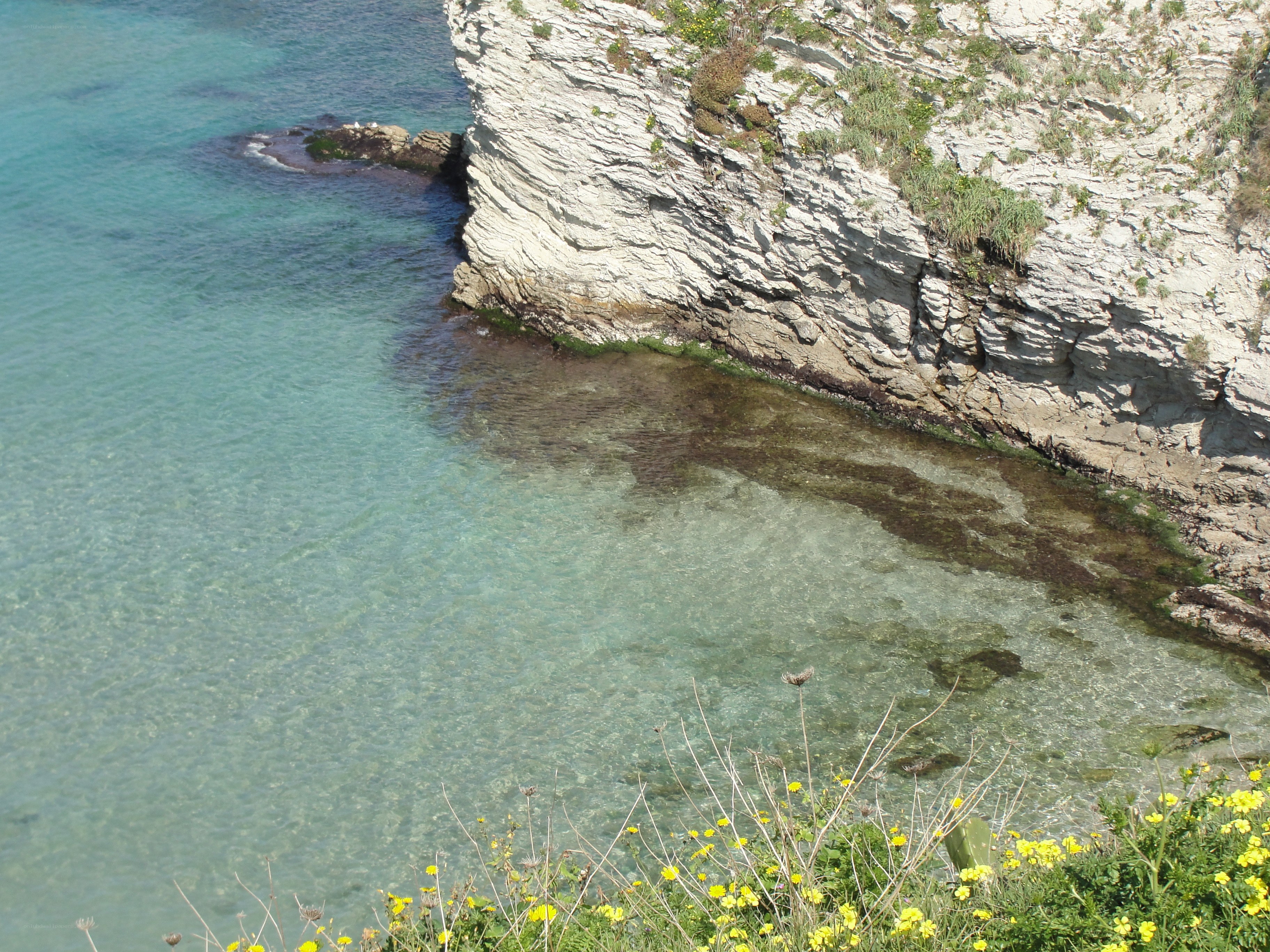 Cliffside cove with clear water