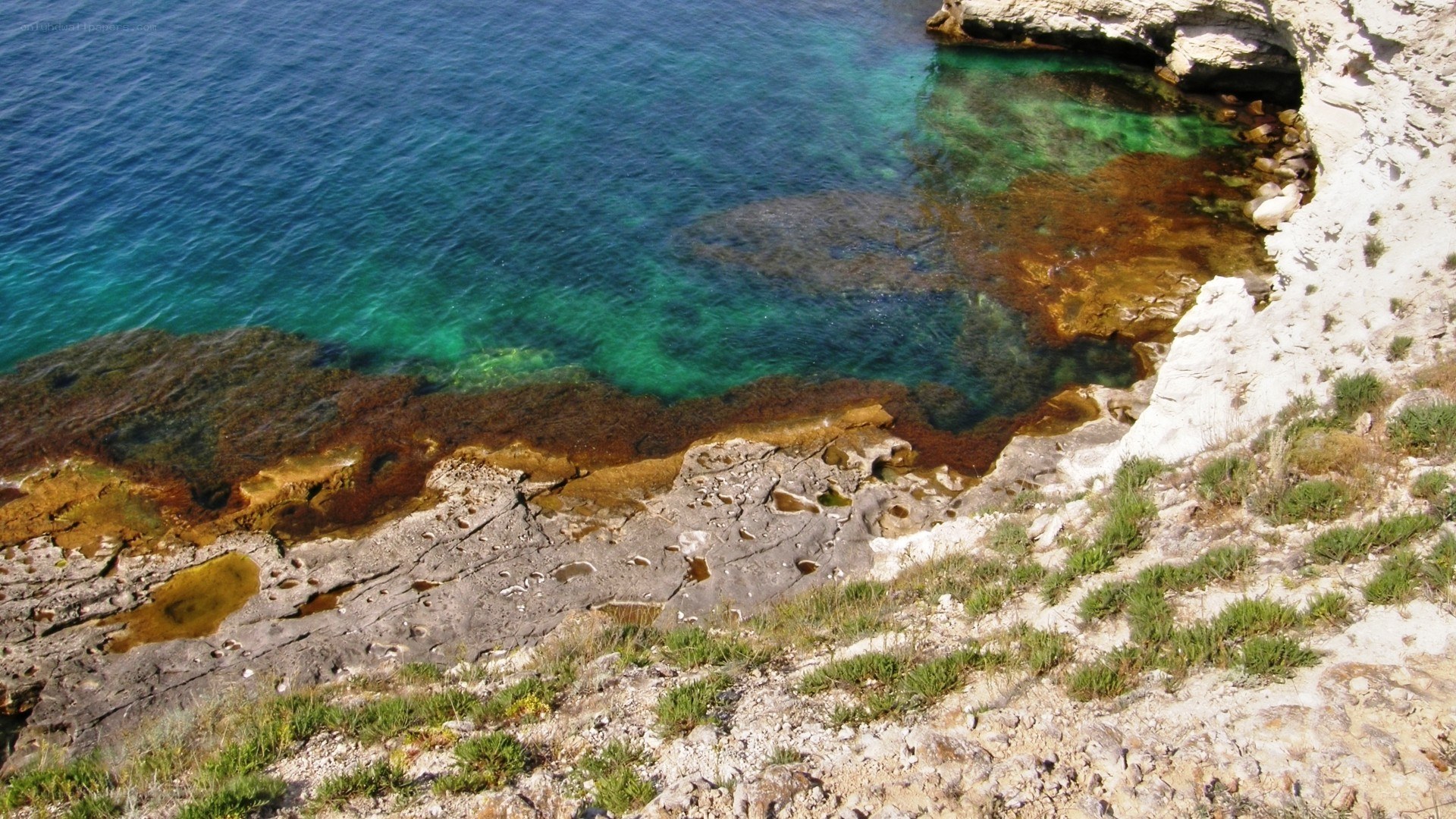 cliffside cove with clear water