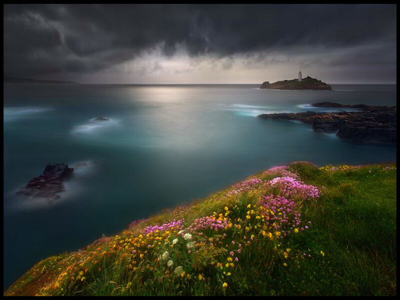 Cliffside Flowers and Lighthouse