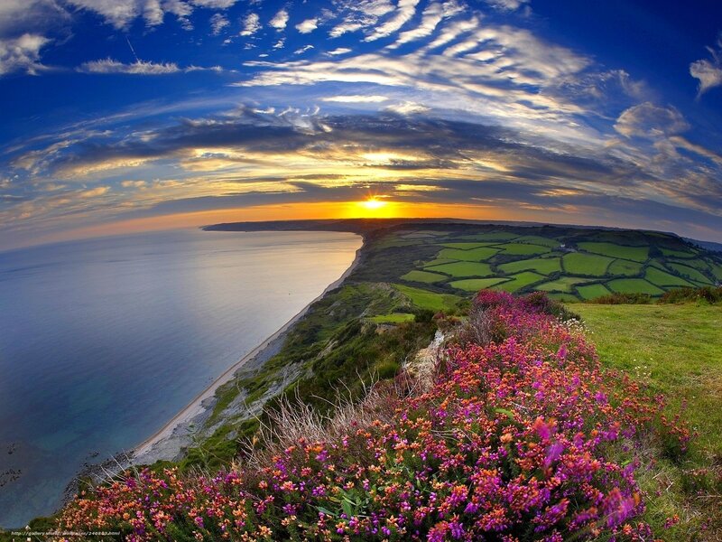 Cliffside Flowers at Sunset — Blue