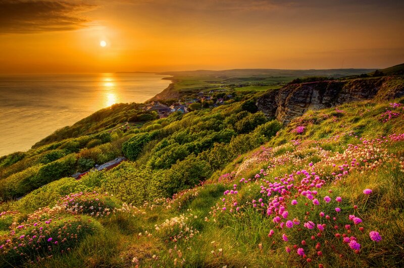 Cliffside Flowers at Sunset — Orange, Serene