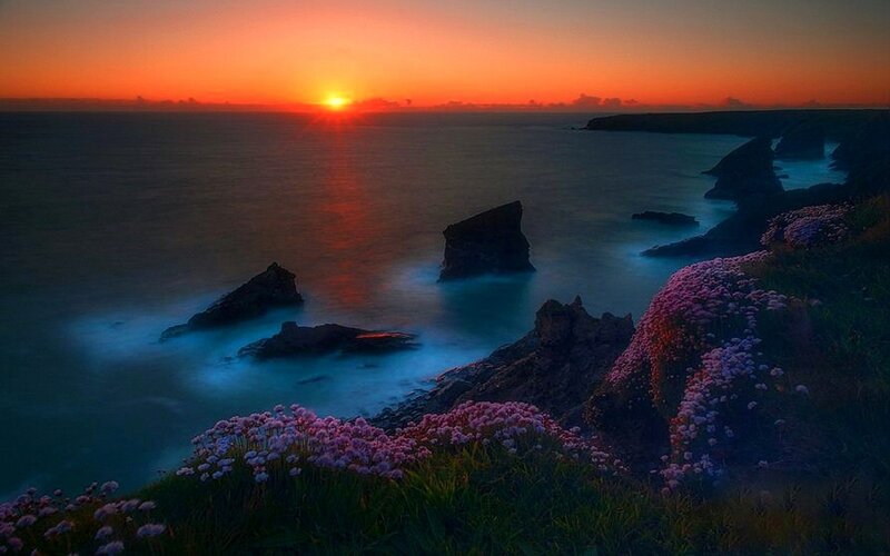 Cliffside Flowers at Sunset — Orange