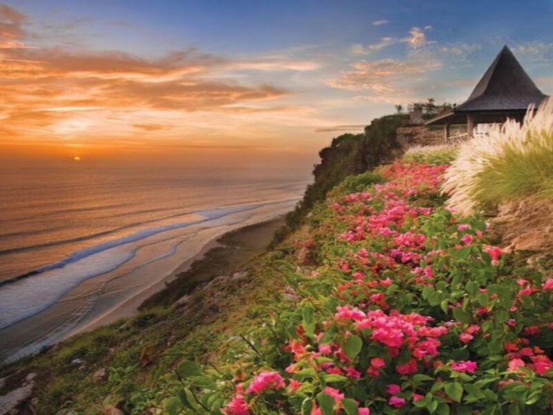 Cliffside Flowers at Sunset — Pink