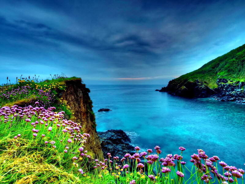 Cliffside Flowers by Sea — Blue, Dramatic