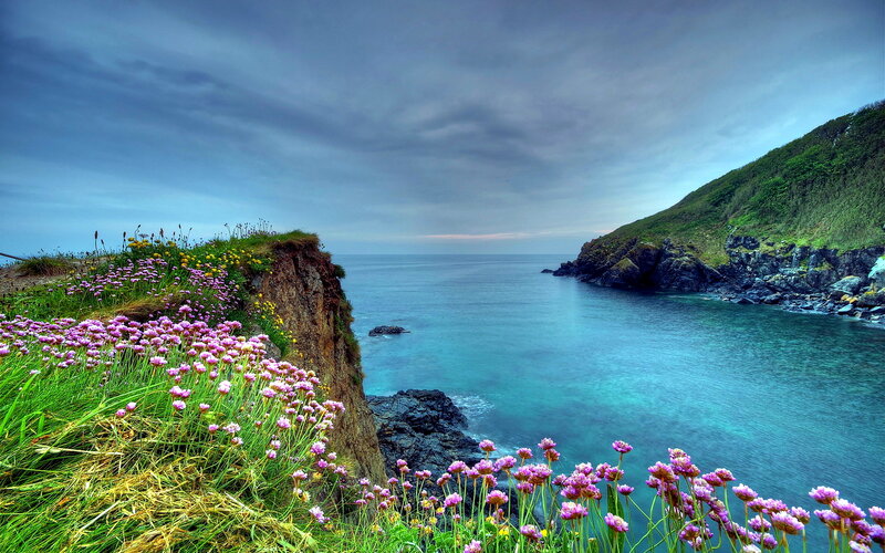 Cliffside Flowers by Sea — Blue