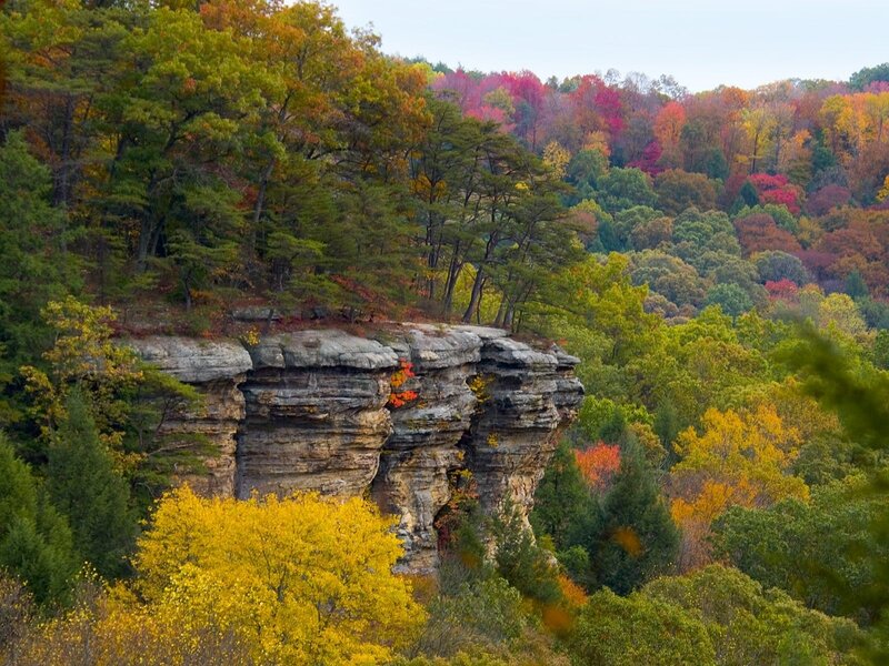 Cliffside Forest in Autumn