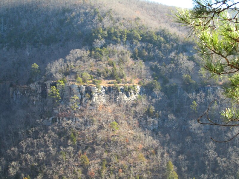 Cliffside Forest Landscape — Green