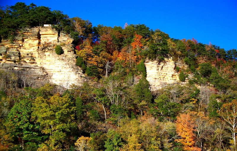 Cliffside Forest