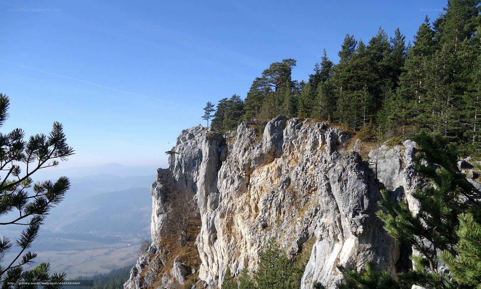 Cliffside forest view