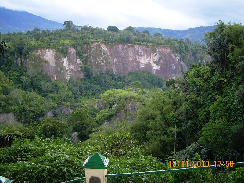 Cliffside in Tropical Forest