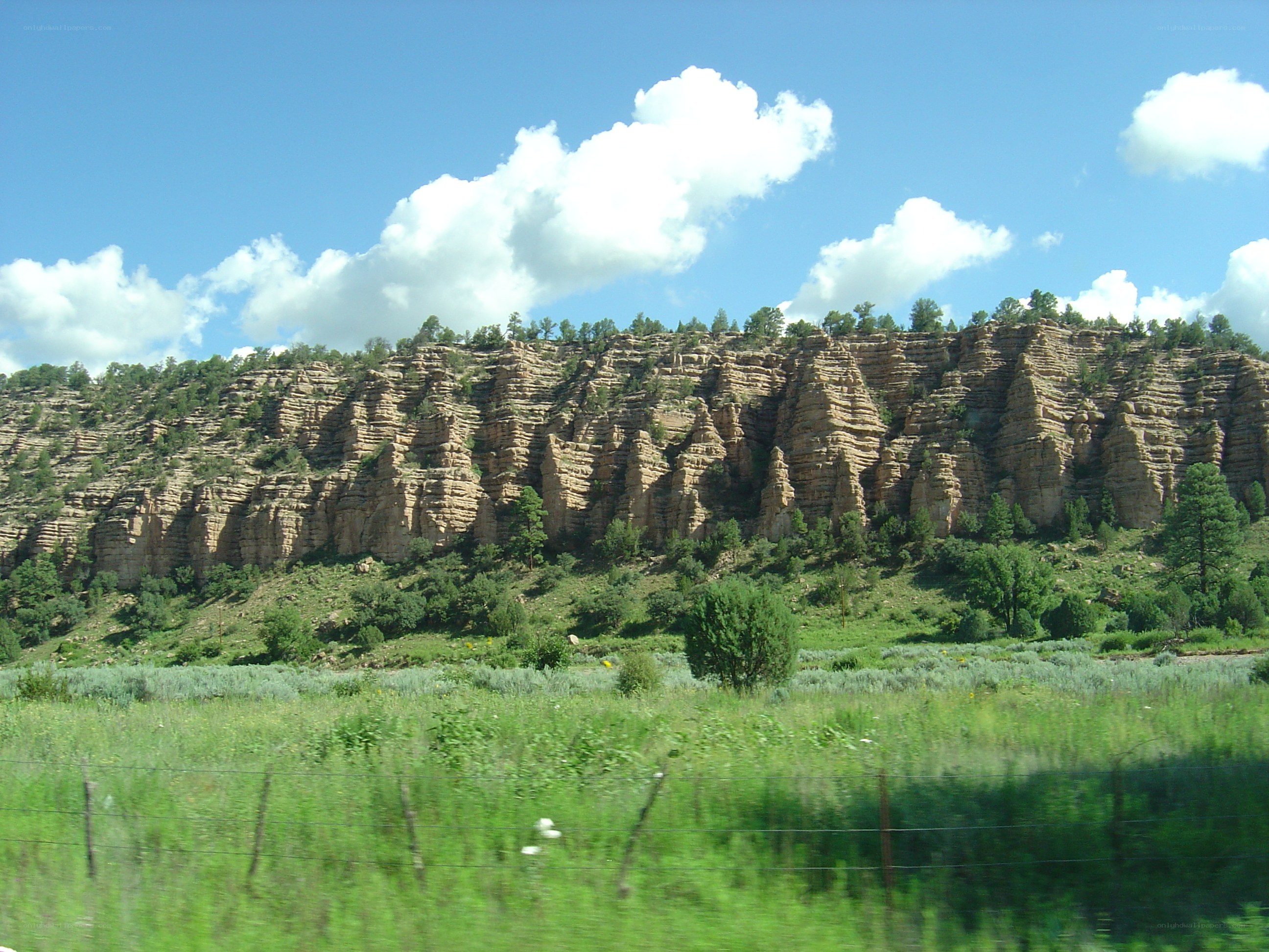 cliffside landscape with green field