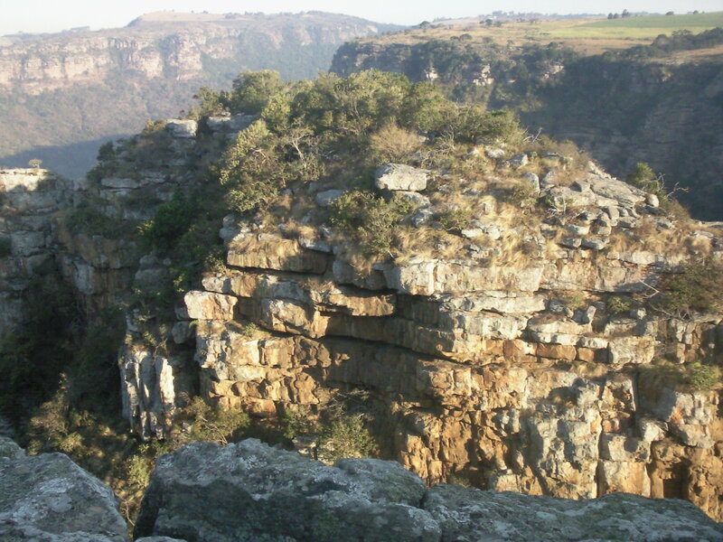 cliffside landscape with trees