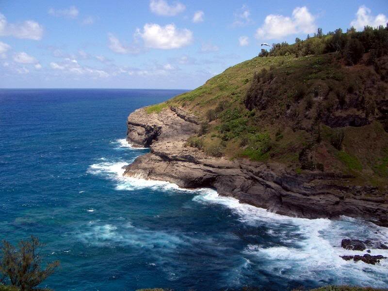Cliffside Ocean View — Blue, Serene, Afternoon