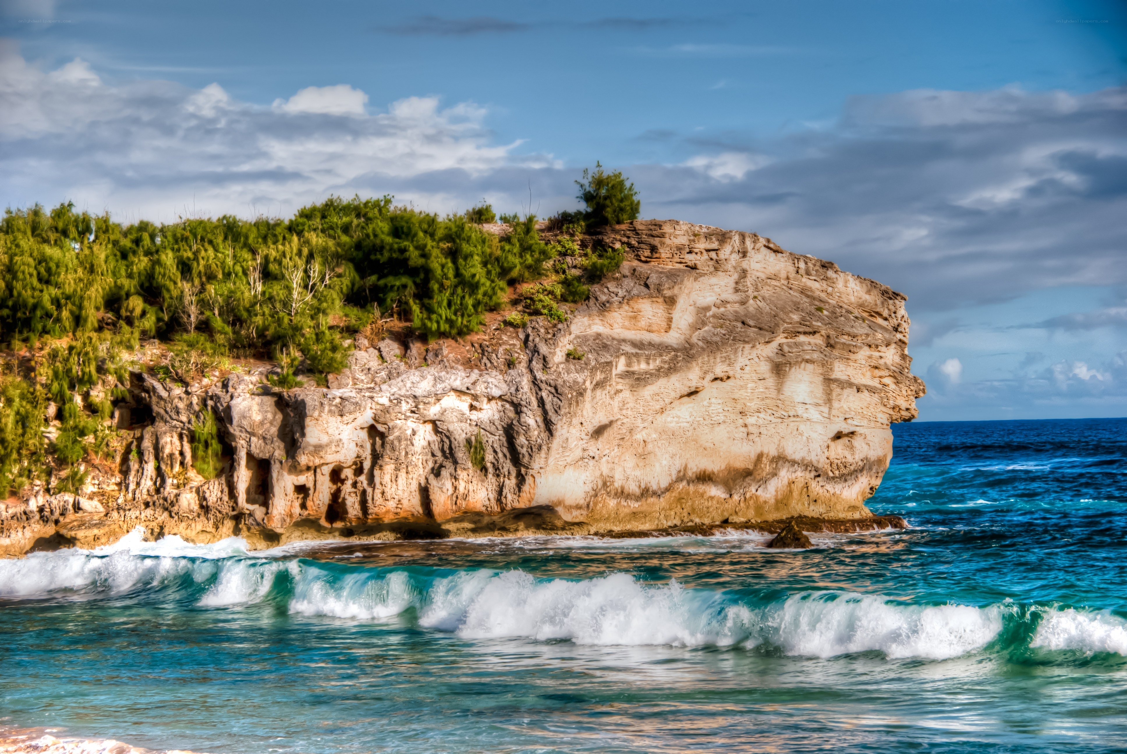 Cliffside ocean waves