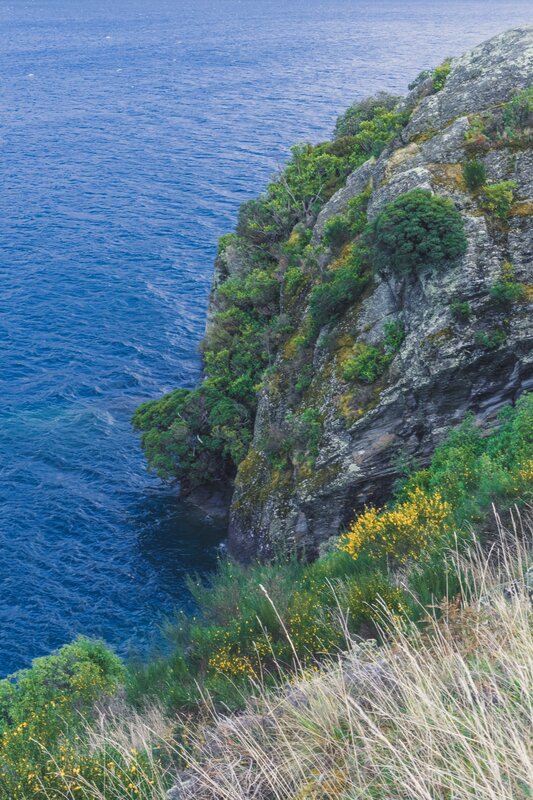 Cliffside Overlooking Ocean — Blue, Serene, Afternoon