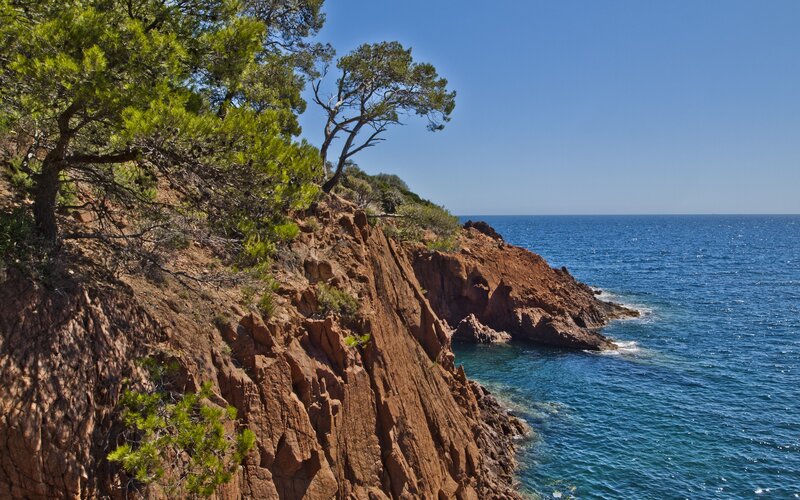 Cliffside Overlooking Ocean — Blue, Serene