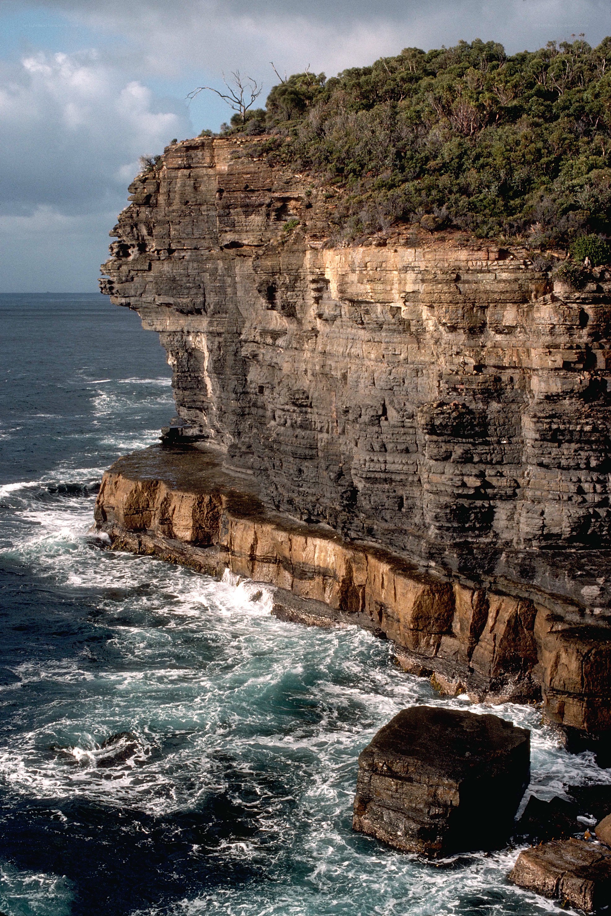 Cliffside overlooking the ocean