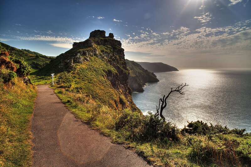 Cliffside Path by Ocean