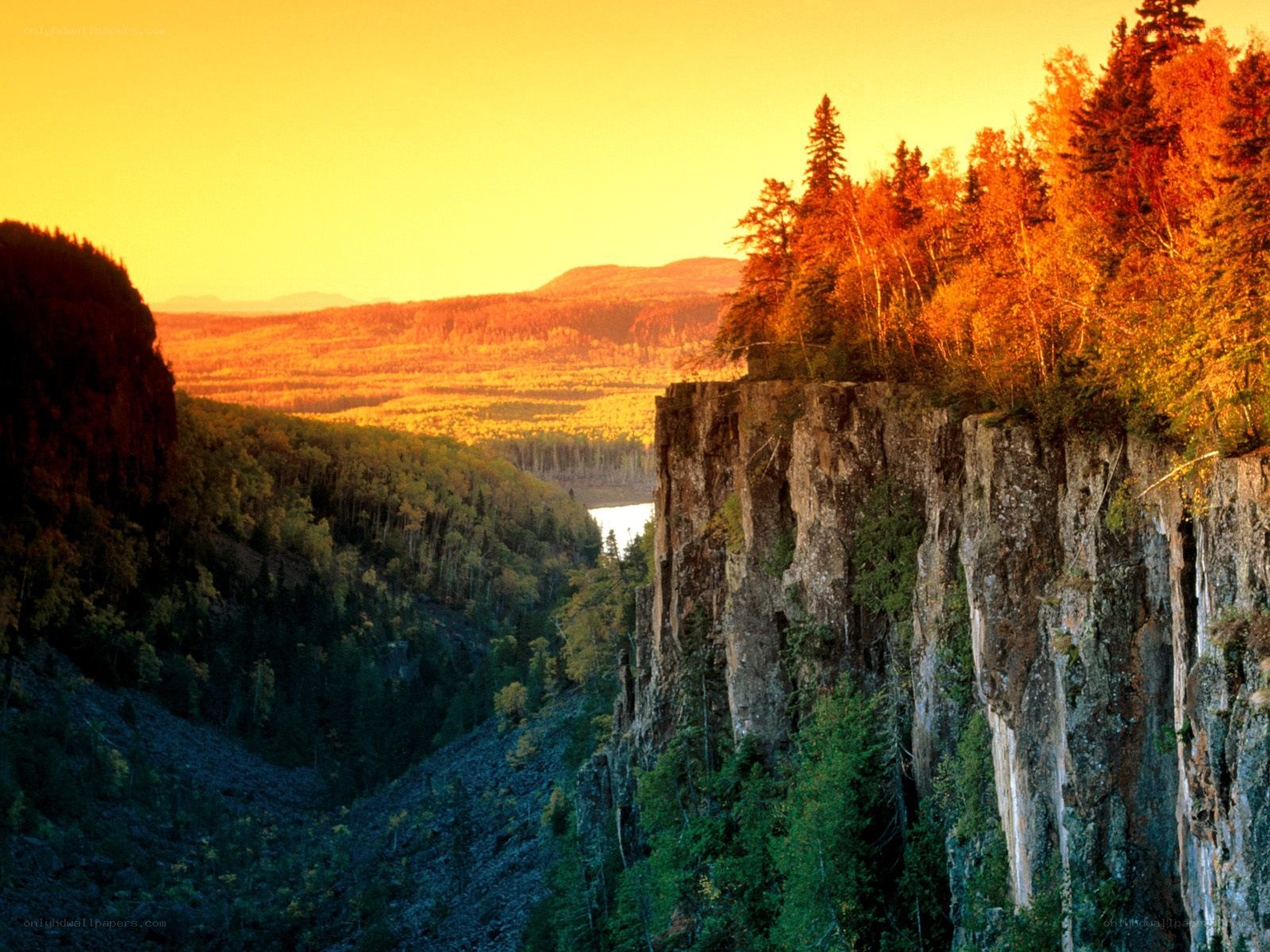 Cliffside sunset over forest valley