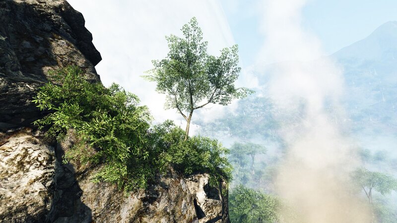 cliffside tree in misty valley