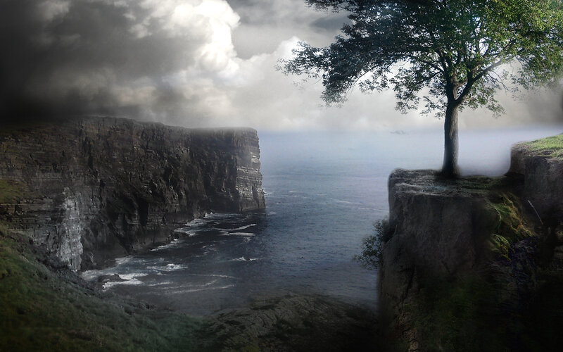 cliffside tree overlooking the sea