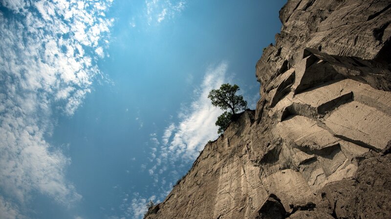 cliffside tree under blue sky