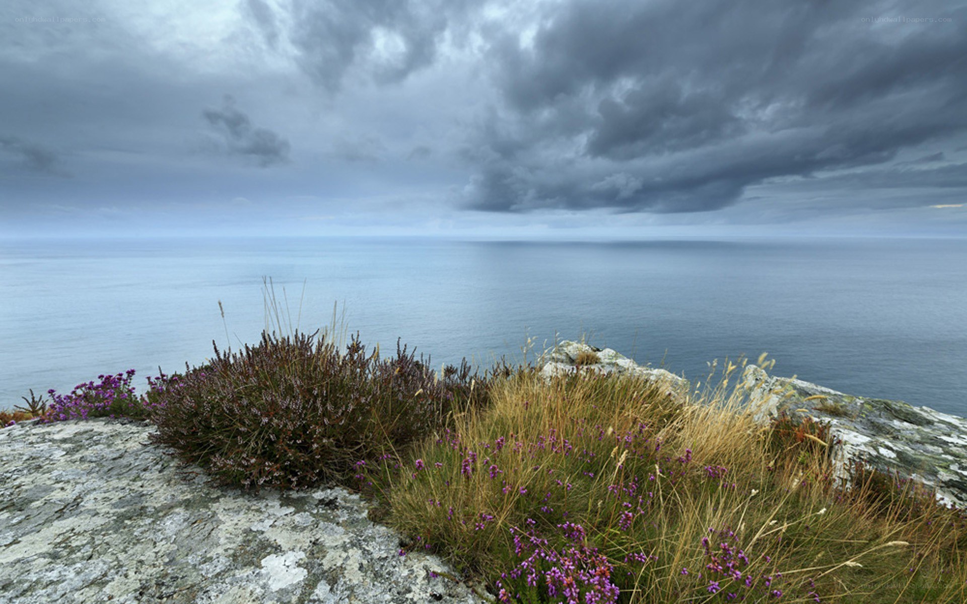 Cliffside view of the sea