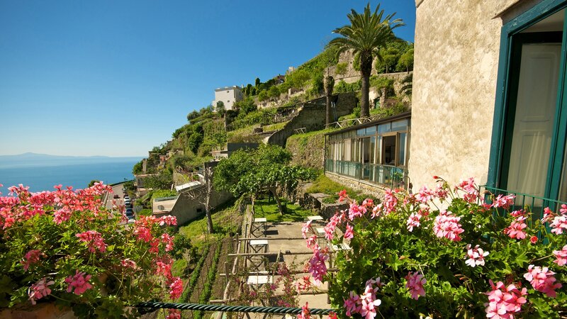 Cliffside Village with Flowers