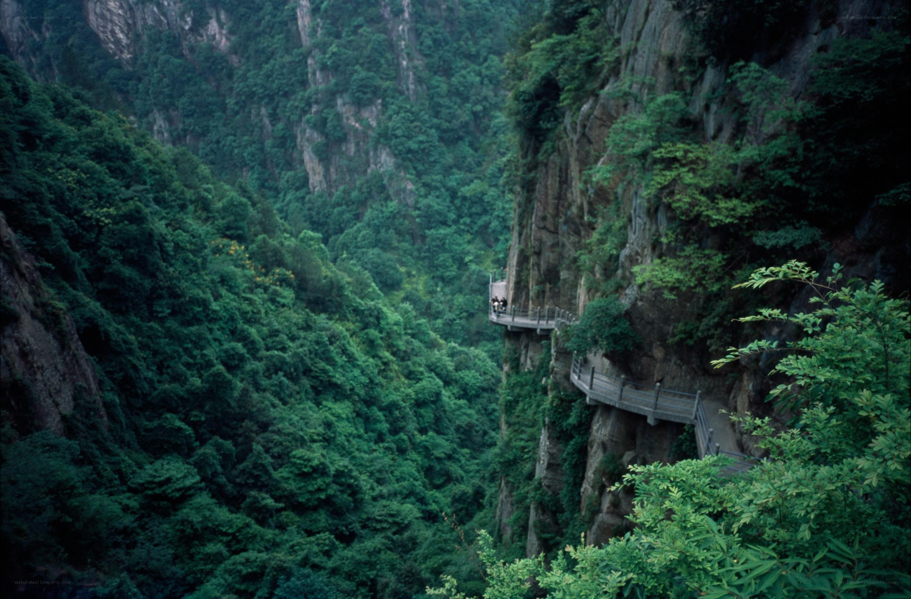 cliffside walkway in lush valley
