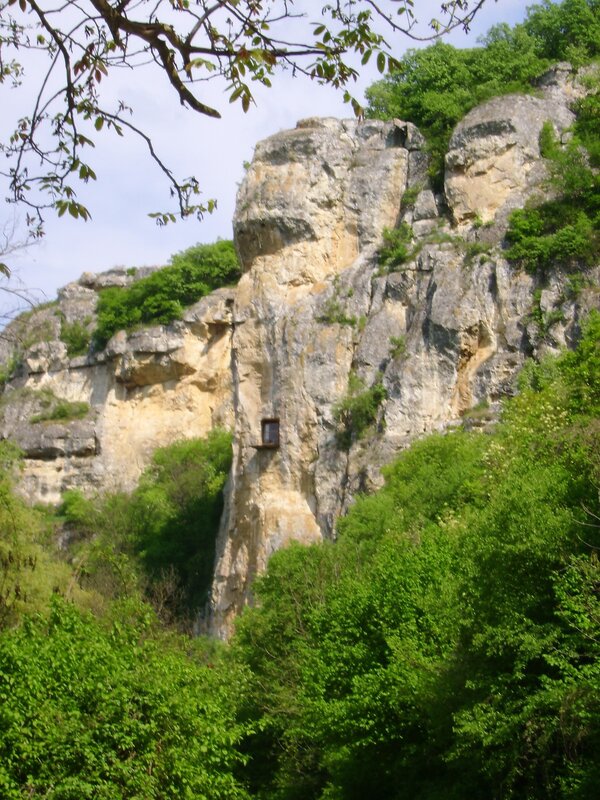 cliffside window in forest