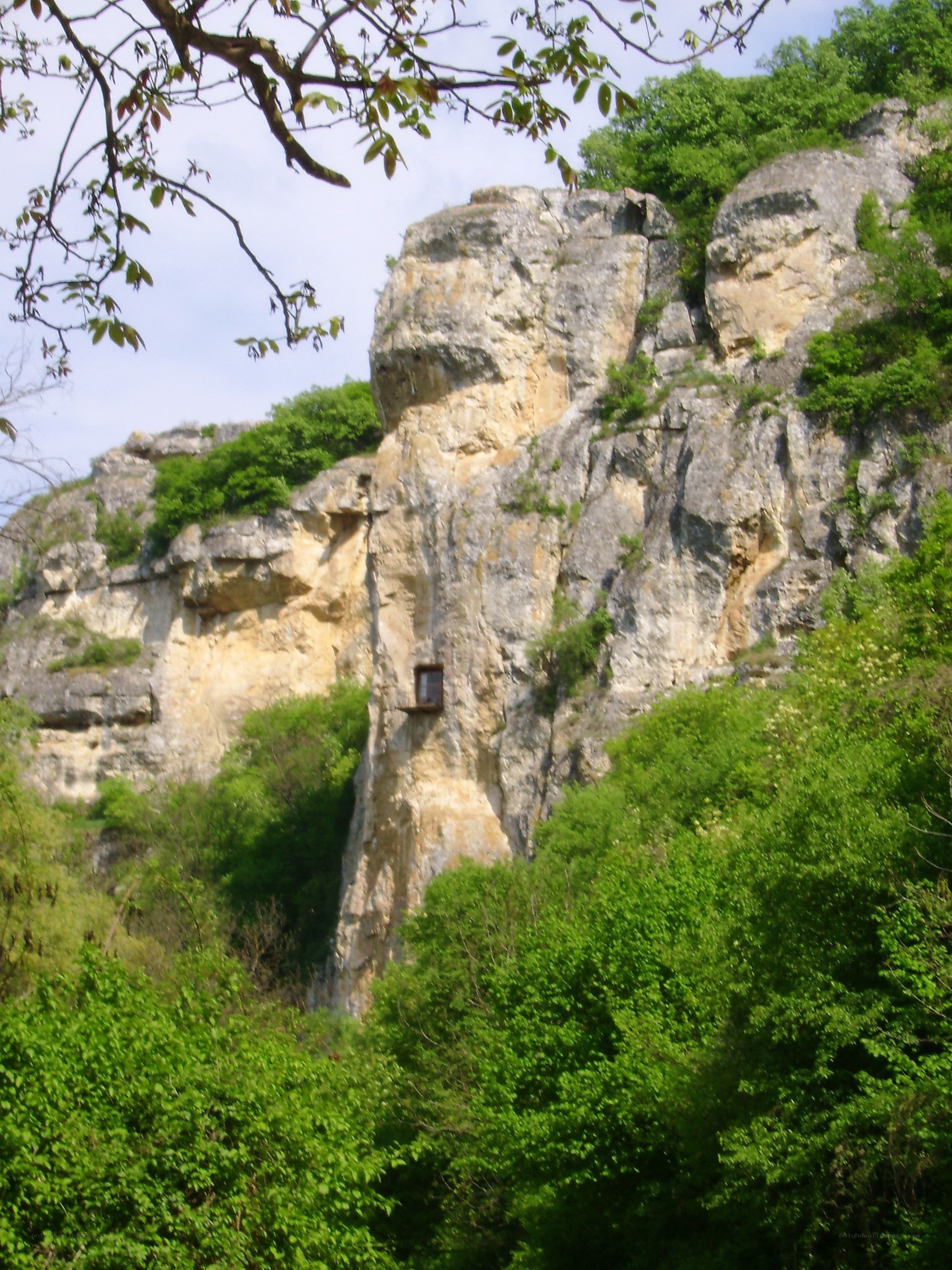 cliffside window in forest