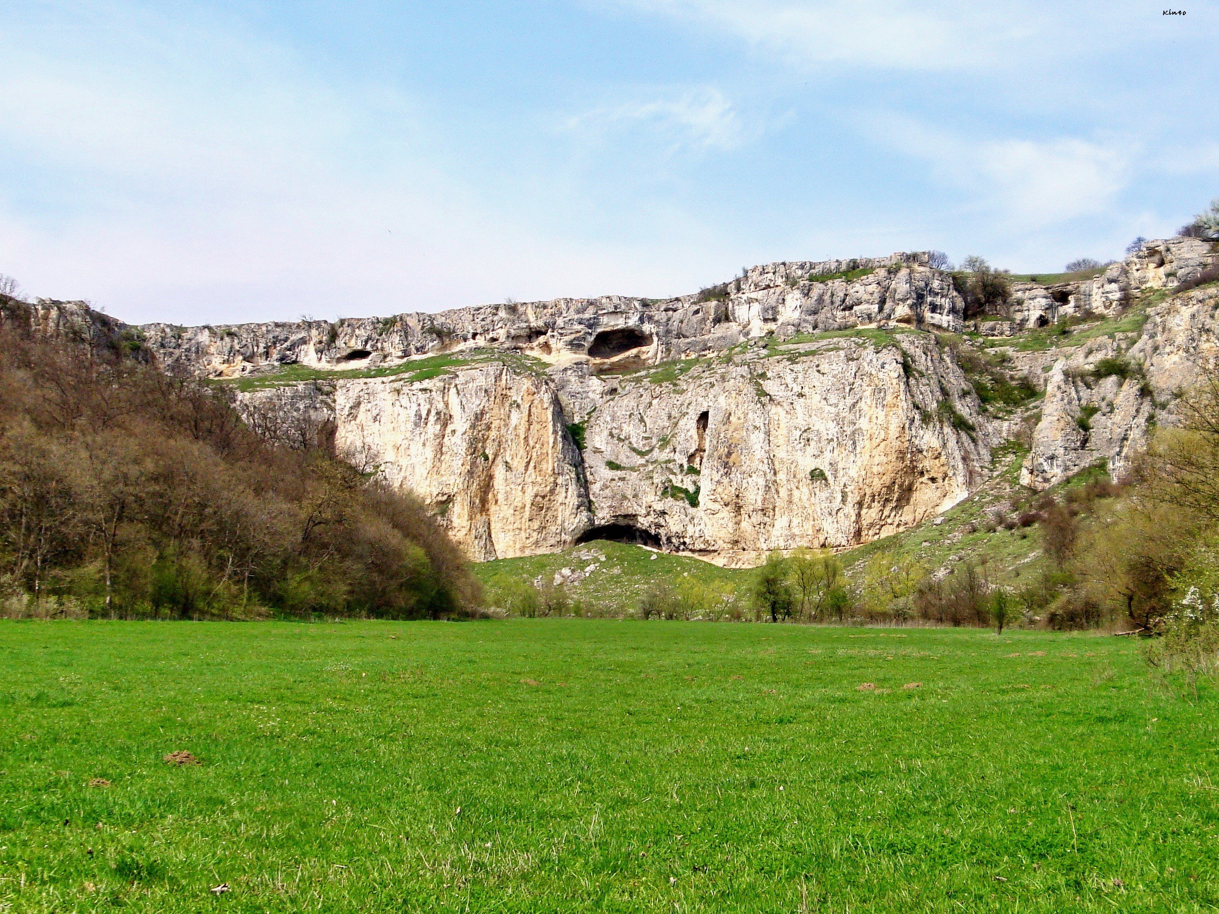 cliffside with caves and green field