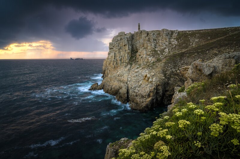 Cliffside with Flowers