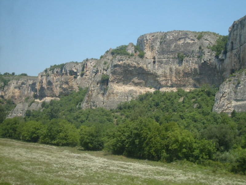 cliffside with green trees