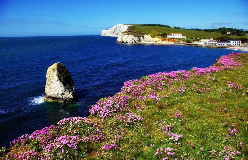 Cliffside with Pink Flowers