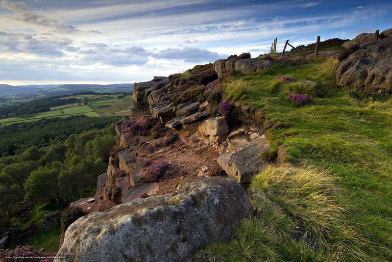 Cliffside with Purple Flowers