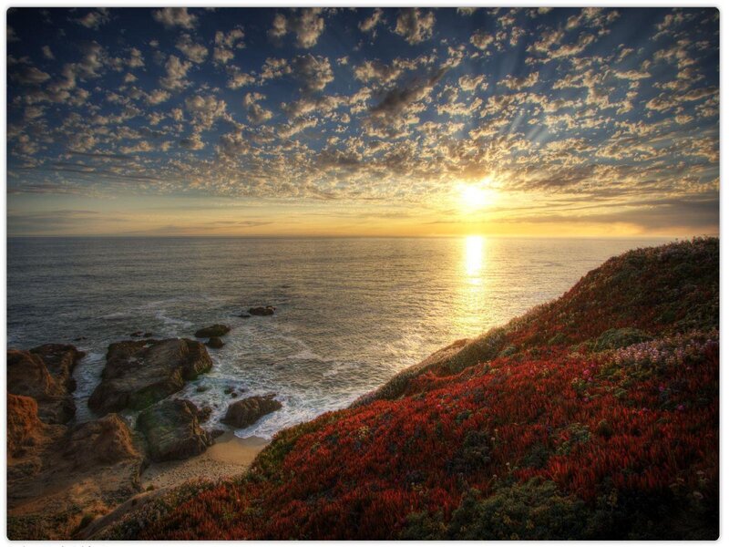 Cliffside with Red Flowers
