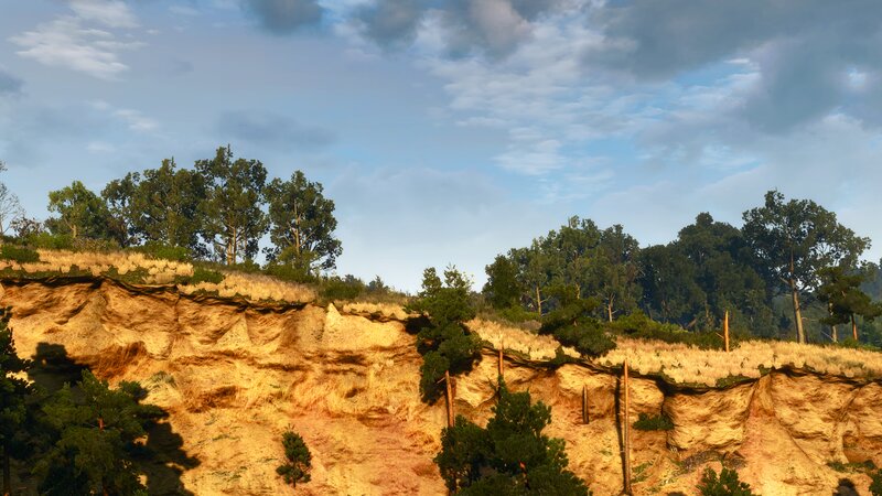 Cliffside with Trees — Brown