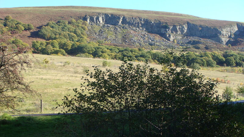 Cliffside with Trees