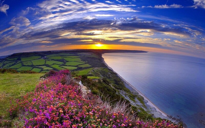 Cliffside with Wildflowers — Blue