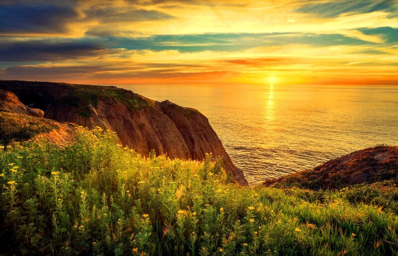 Cliffside with Wildflowers