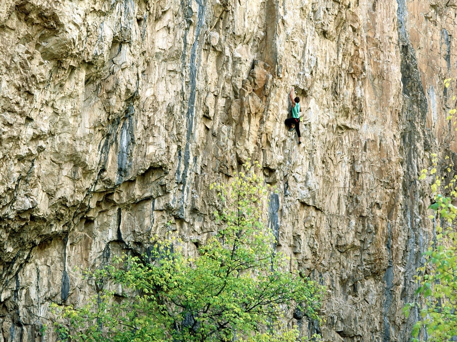 Climber on a rock face