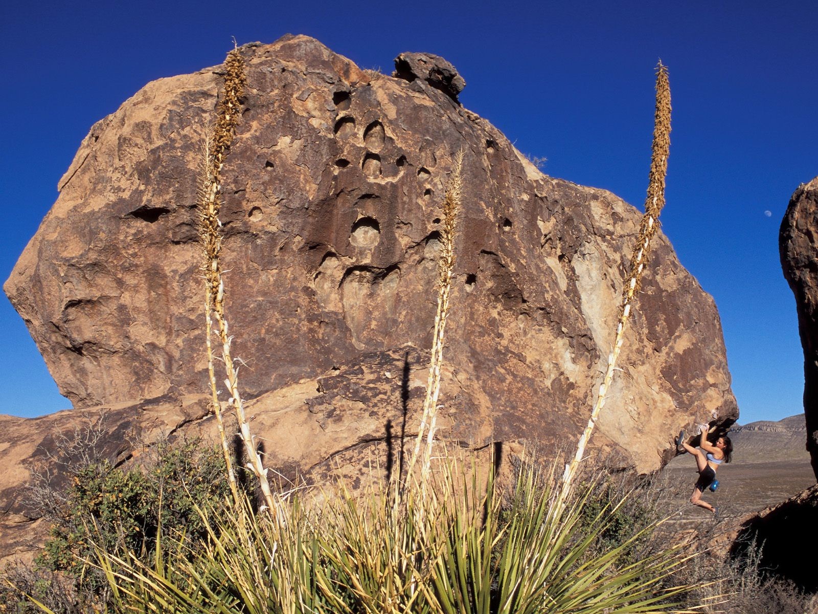 Climber on rocky cliff