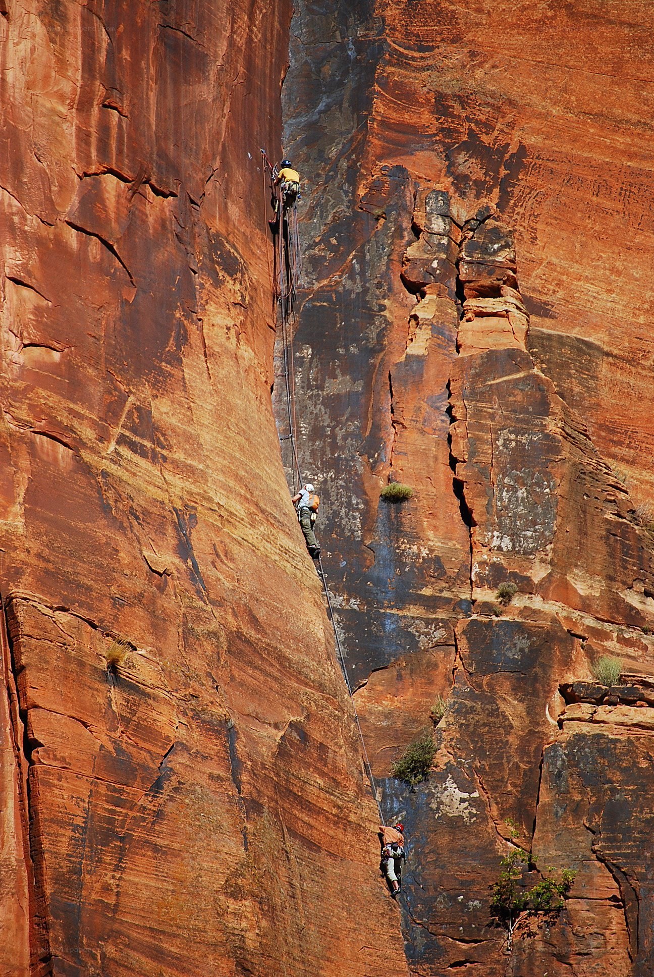 Climbers on a red rock cliff