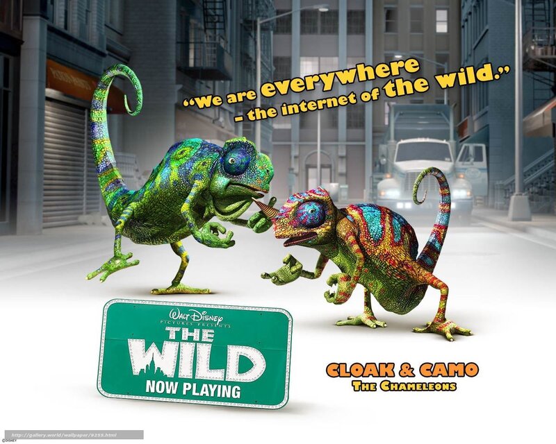 Cloak and Camo the Chameleons