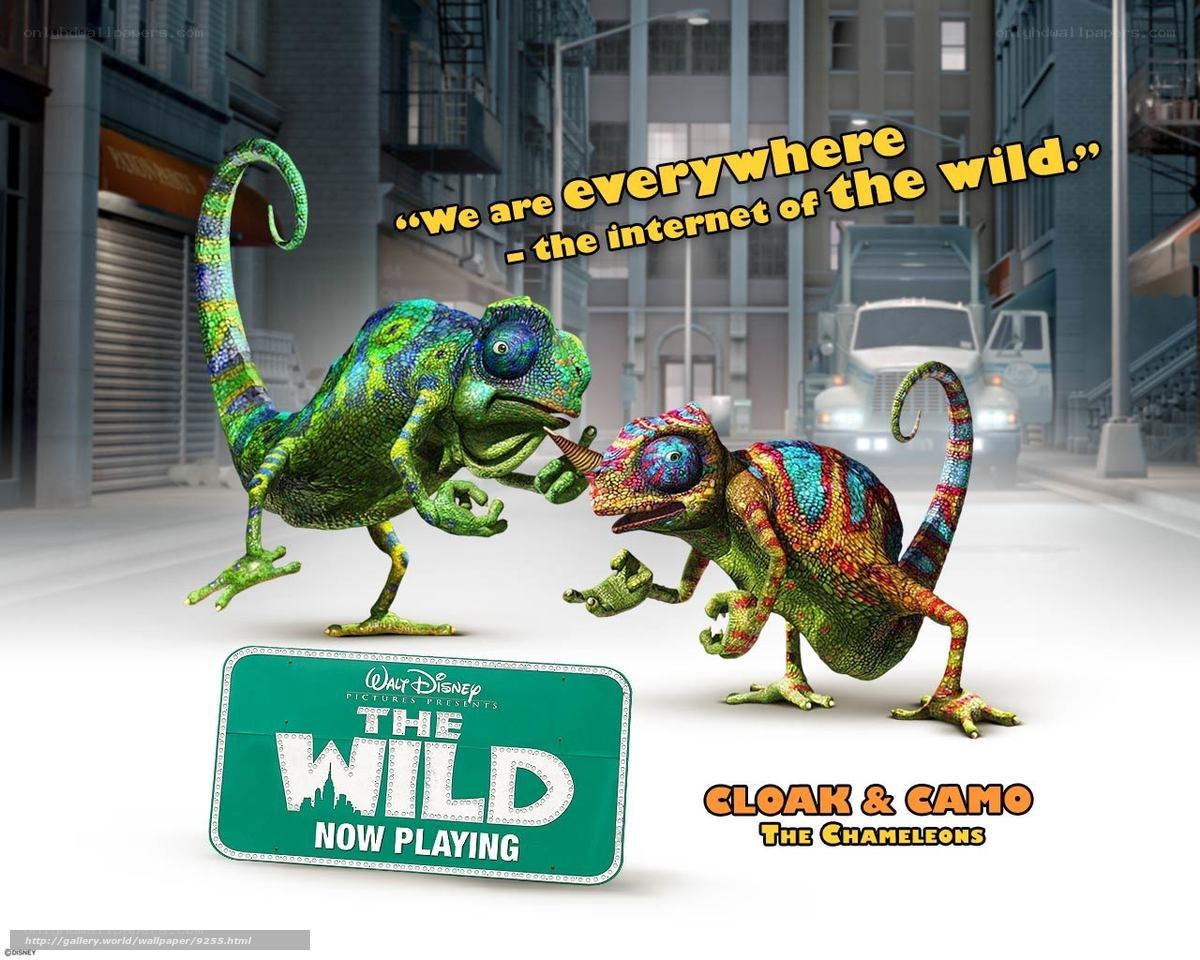 Cloak and Camo the Chameleons