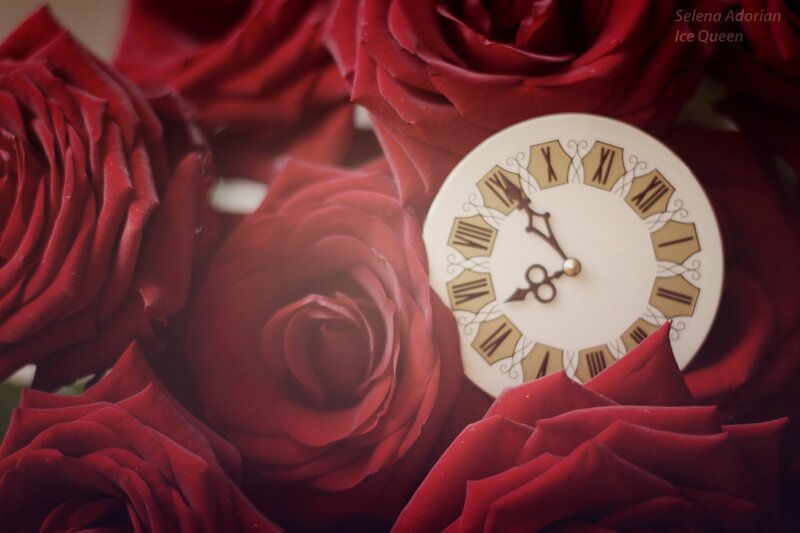 Clock Face Among Roses
